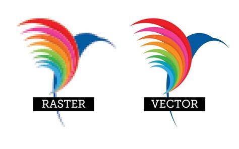 vector graphics vs raster graphics