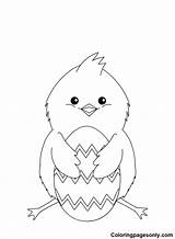Easter Chick Coloring Pages Printable For Free Download sketch template