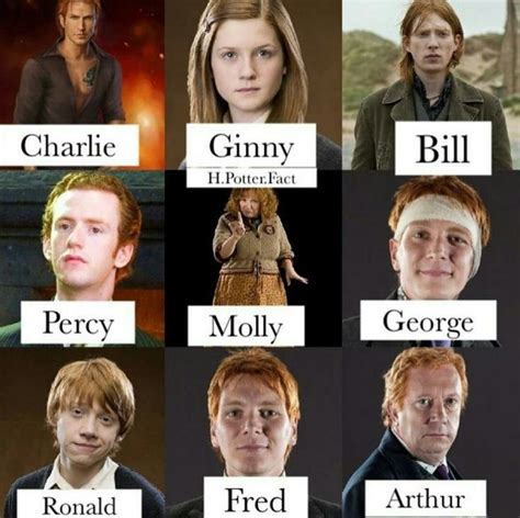 All of the Weasley family | Harry potter puns, Harry potter anime ...