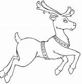 Reindeer Sleigh Coloring Pages sketch template