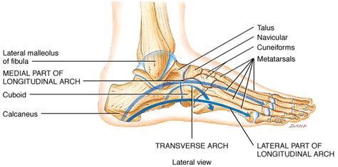 Medical Journey of a Sufferer of Sacroiliac Instability and other Nerve Pain Issues from Joint ...