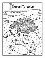 Desert Coloring Pages  Best For Kids sketch template