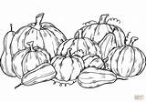 Pumpkin Patch coloring Page  Free Printable Coloring Pages sketch template