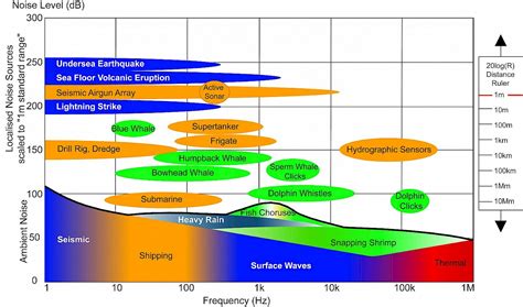 Virginia Tech Ichthyology Class : Anthropogenic Interference in Goby ...