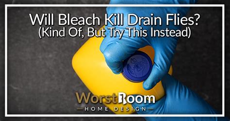 Will Bleach Kill Drain Flies? (Kind Of, But Try This Instead) - Worst Room