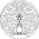 Peacock Mandala Coloring Pages sketch template