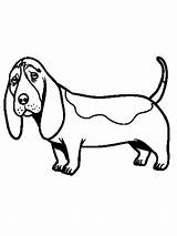 Basset Hound coloring Pages sketch template