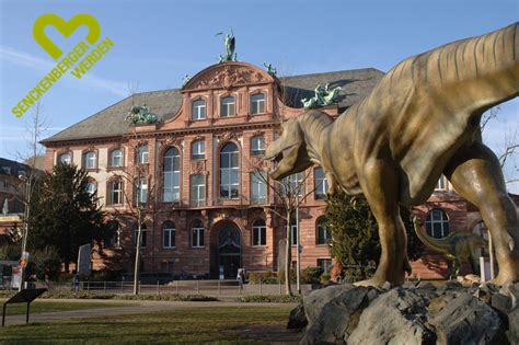 Membership · Senckenberg Naturmuseum Frankfurt