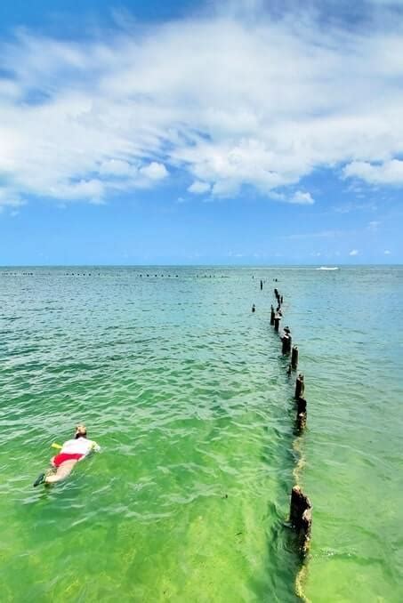 Key West Florida beaches! Free Higgs Beach snorkeling 🐠 so many fish in ...