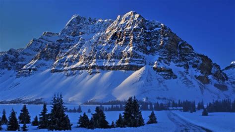 trees, snow, mountains, landscape, nature, Rocky Mountains, Canada, HD ...