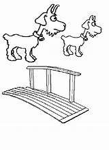 3 Billy Goats Gruff Coloring Pages Sketch Coloring Page sketch template