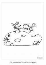 Pond Coloring Page  Kidadl sketch template