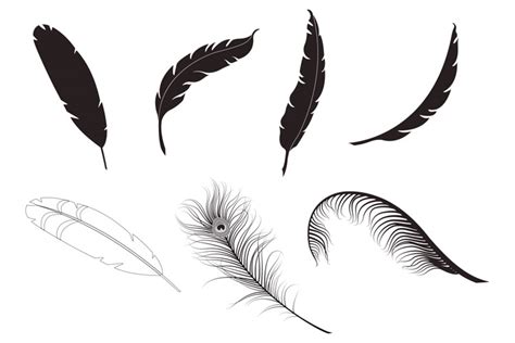 Feather Vector Pack 1 | Design Panoply