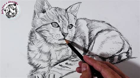 físicamente salón Planta de semillero gatitos para dibujar a lapiz ...