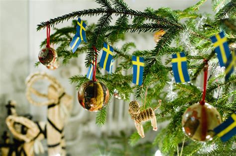 Sweden Christmas 2024 Lok - Berty Vinnie