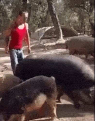 Hog Rider Gifs Find Share On Giphy - vrogue.co