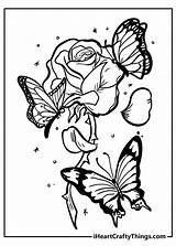 Rose Coloring Pages Printable Sketch Page sketch template