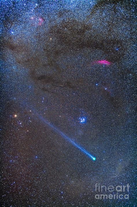 Comet Lovejoys Long Ion Tail In Taurus Photograph by Alan Dyer - Fine ...