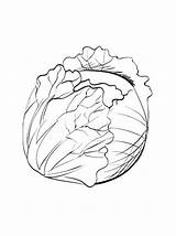 Brussels Sprouts Coloring Pages  Best For Kids sketch template