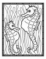 Aquarium Coloring Pages  Printable Sheets For Kids sketch template