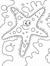 Starfish Coloring Pages sketch template