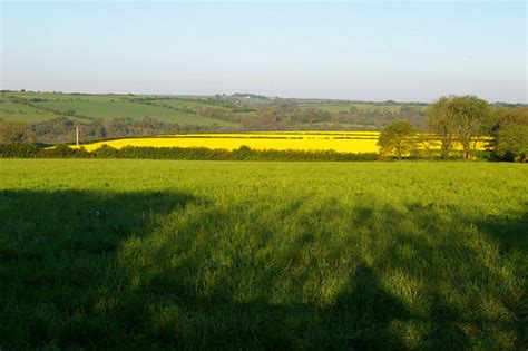 Fields of Oilseed Rape © Roger Gittins cc-by-sa/2.0 :: Geograph Britain and Ireland