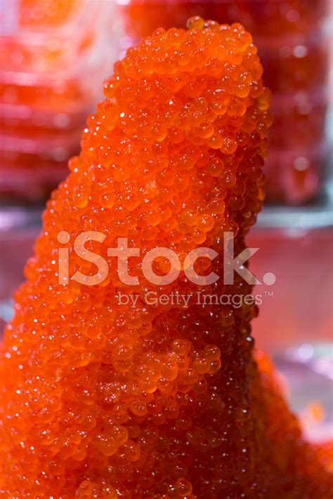 Salmon Roe Stock Photo | Royalty-Free | FreeImages