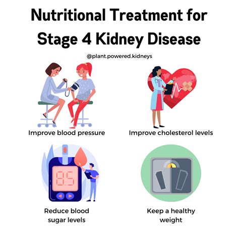 Stage 4 Kidney Disease: The Ultimate Guide - Plant-Powered Kidneys | Renal Diet For Kidney Health