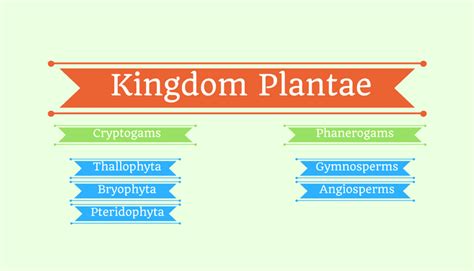 Kingdom Plantae (Plant Kingdom) - Botany Today