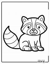 Raccoon Coloring Pages Free PDF Printables  Simply Love sketch template