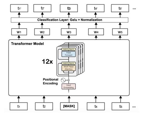 The Transformer based BERT base architecture with twelve encoder blocks ...