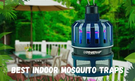 6 Best Indoor Mosquito Trap Options For Your Home in 2020