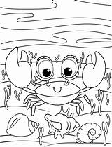 Crab Coloring Page For Kids 8998209 Vector Art At Vecteezy sketch template