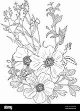 Botanical Flowers coloring Page Illustration Stock Vector Image & Art  sketch template