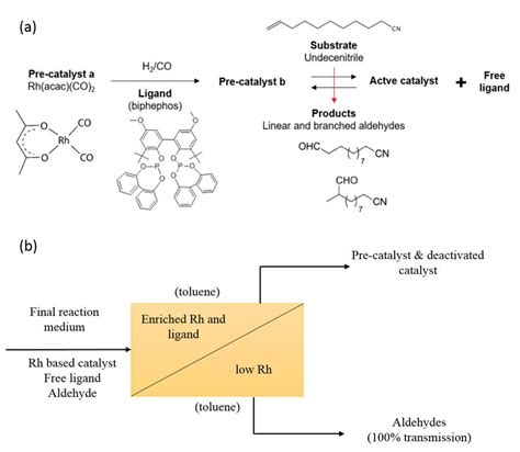 (a) Hydroformylation reaction (Adopted from ANR framework) (b) Proposed... | Download Scientific ...