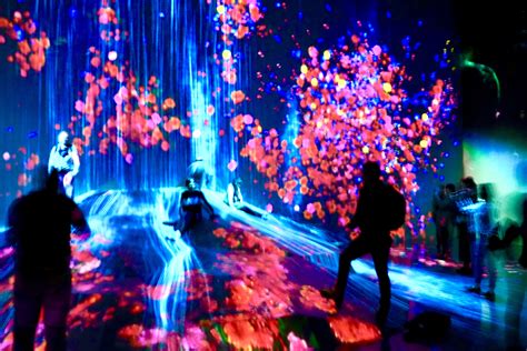 teamLab: Borderless in Tokyo | DesignDestinations