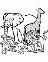 Animals In The Wild Coloring Page  Free Printable Pages For Kids sketch template