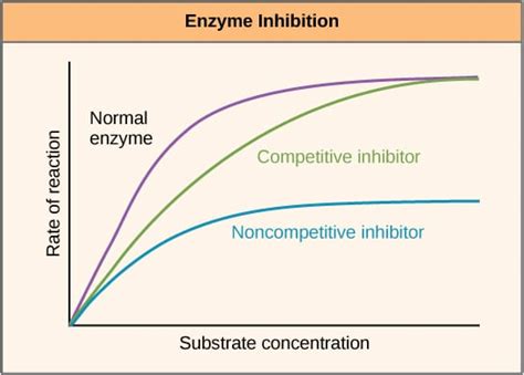 Enzyme Inhibition - Types of Inhibition - TeachMePhysiology