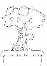 Simple Tree coloring Page  Download Print Or Color Online For Free sketch template