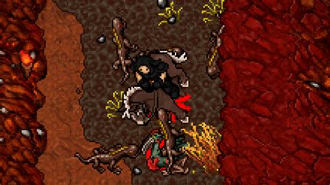 Tibia Hunt Finder | Find the Best Hunts for your Character | Intibia