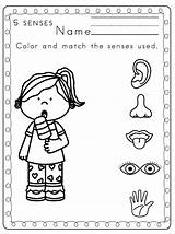 Free My Five Senses Coloring Pages Download  sketch template