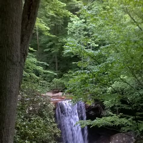 Ohiopyle State Park Camping | The Dyrt