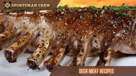 15 Most Amazing Deer Meat Recipes