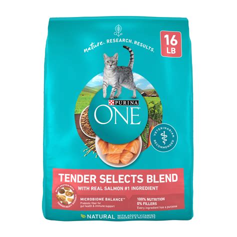 Purina ONE Tender Selects Blend With Real Salmon Natural Dry Cat Food ...