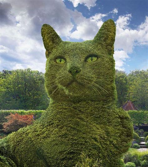 56 best Amazing Cat Hedge Shapes images on Pinterest | Richard saunders, Topiaries and Cats