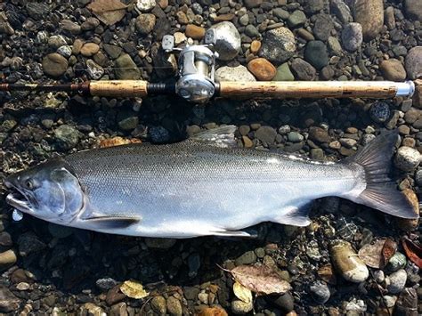 Salmon Fishing Tips – How to catch Salmon, Things to Bring When Salmon Fishing