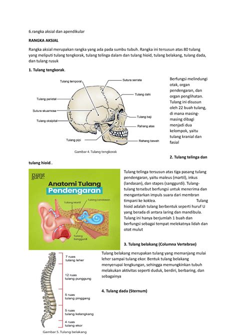 Biologi 11 phb pasrah lillahi ta ala - 6 aksial dan apendikular RANGKA AKSIAL Rangka aksial ...