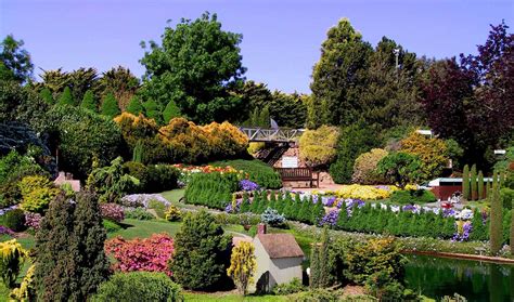 La Organización cómo Jardín Botánico – Líder Activo