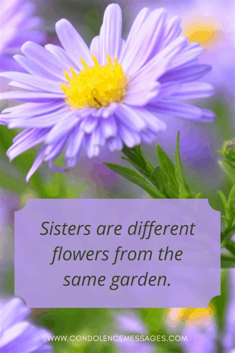 Funeral Flower Messages For Sister | Best Flower Site