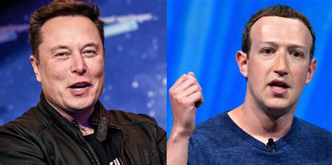 Elon Musk vs Mark Zuckerberg: Who would win in a cage fight? | indy100